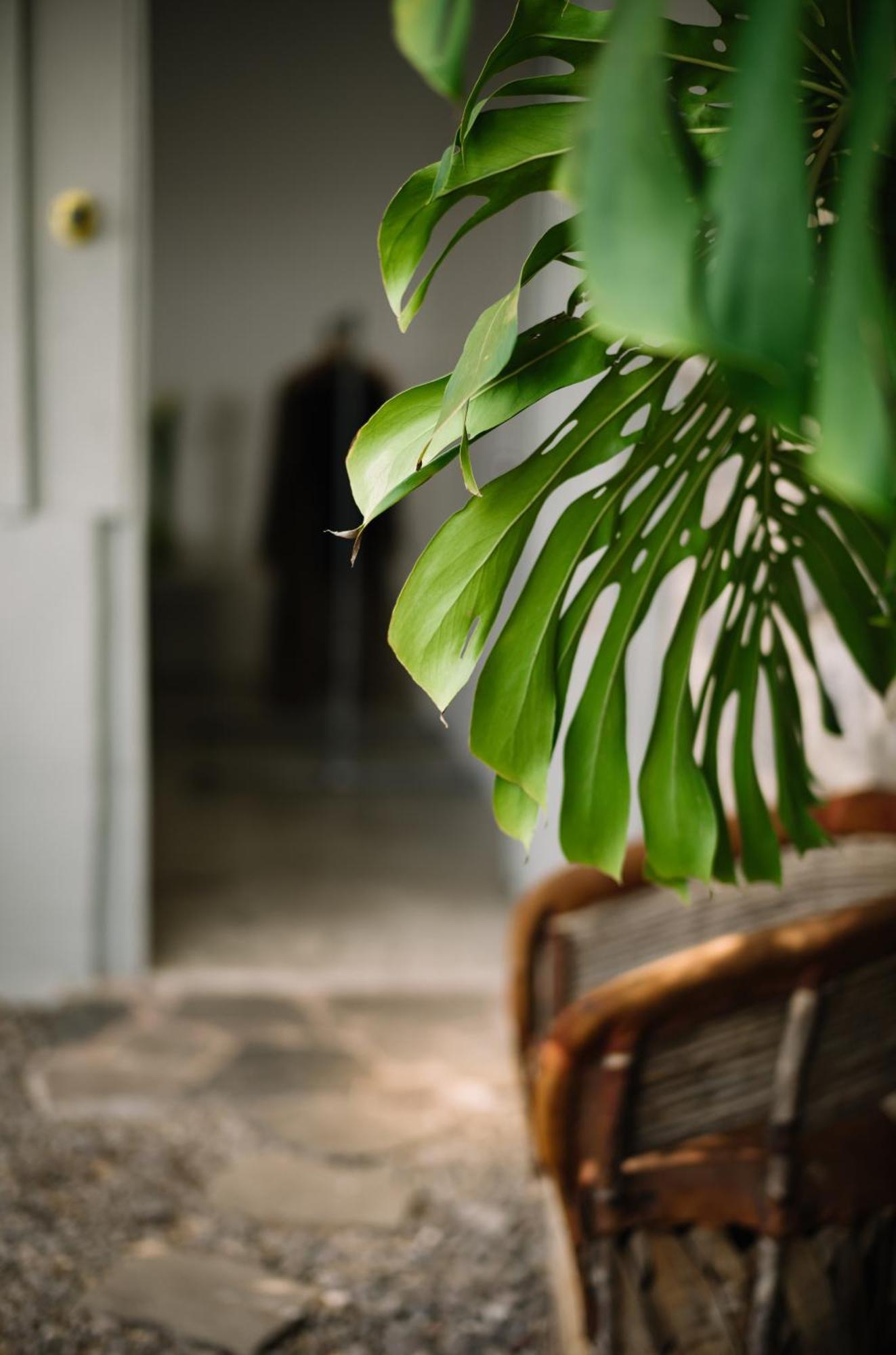 Anzan Atitlan Bed & Breakfast San Marcos La Laguna Dış mekan fotoğraf